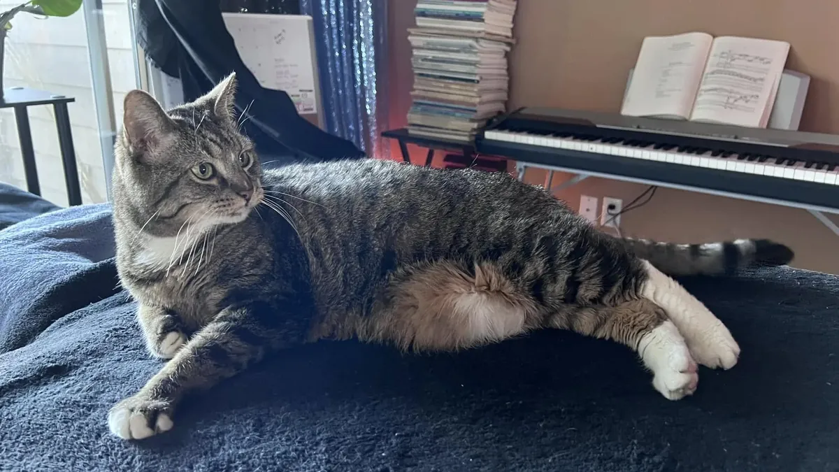 Alice comfortable at home